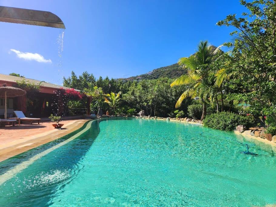 Villa African Queen - St Barth Gustavia Zewnętrze zdjęcie