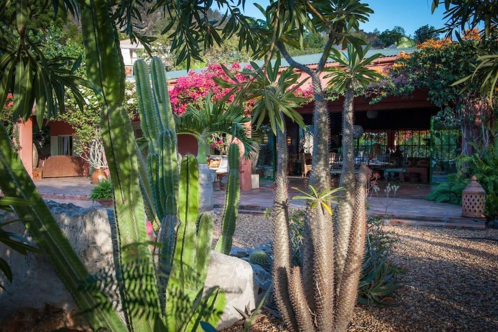 Villa African Queen - St Barth Gustavia Zewnętrze zdjęcie